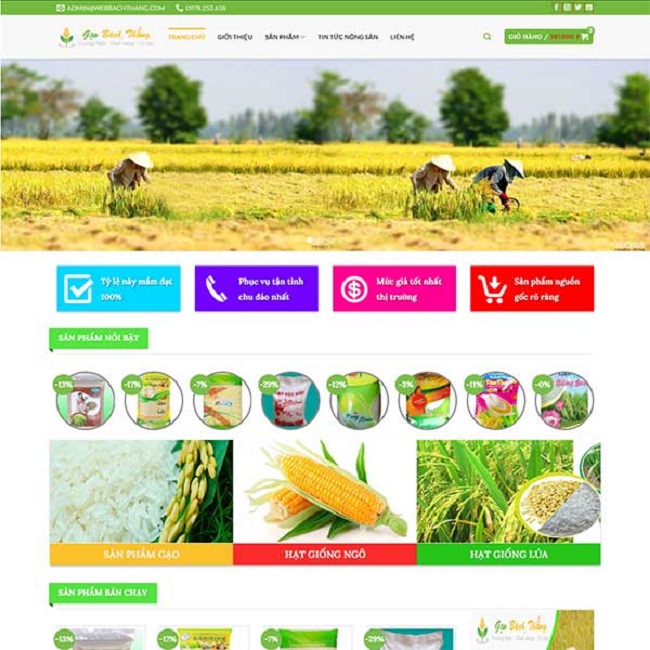 thiết kế web bán gạo giá rẻ chuẩn Seo chuyên nghiệp tại TpHCM