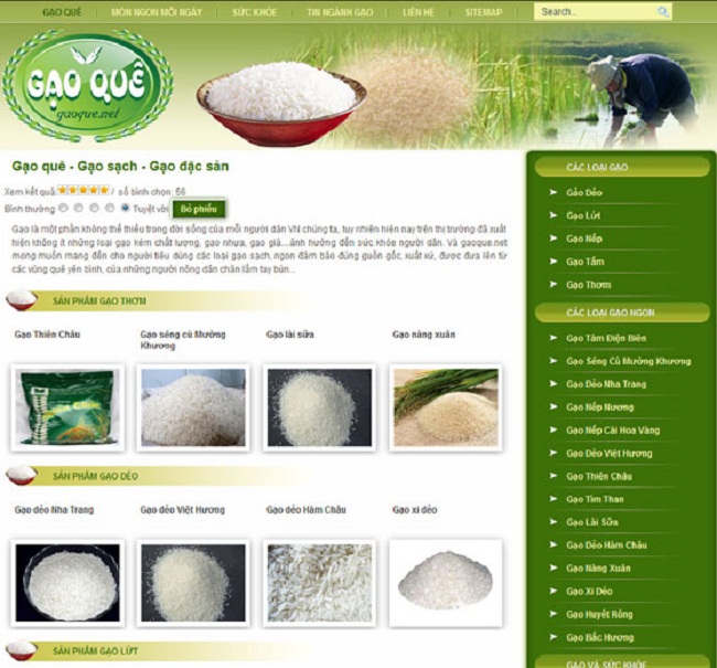 thiết kế web bán gạo giá rẻ chuẩn Seo chuyên nghiệp tại TpHCM
