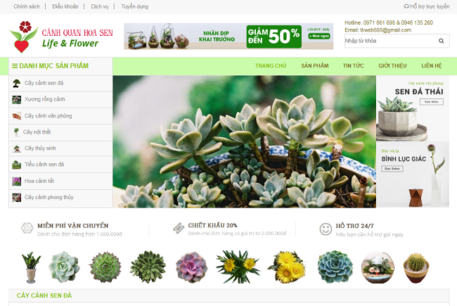 thiết kế web mua bán cây cảnh online chuyên nghiệp chuẩn Seo giá rẻ