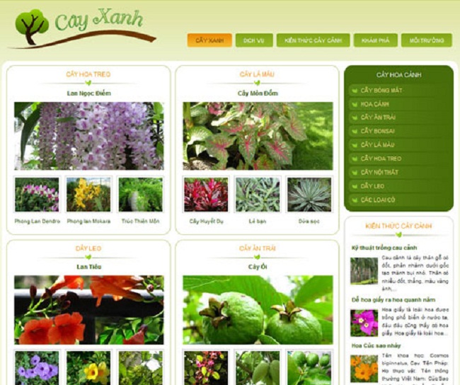 thiết kế web mua bán cây cảnh online chuyên nghiệp chuẩn Seo giá rẻ